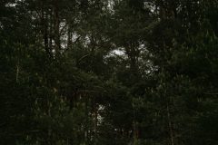 Untitled-62